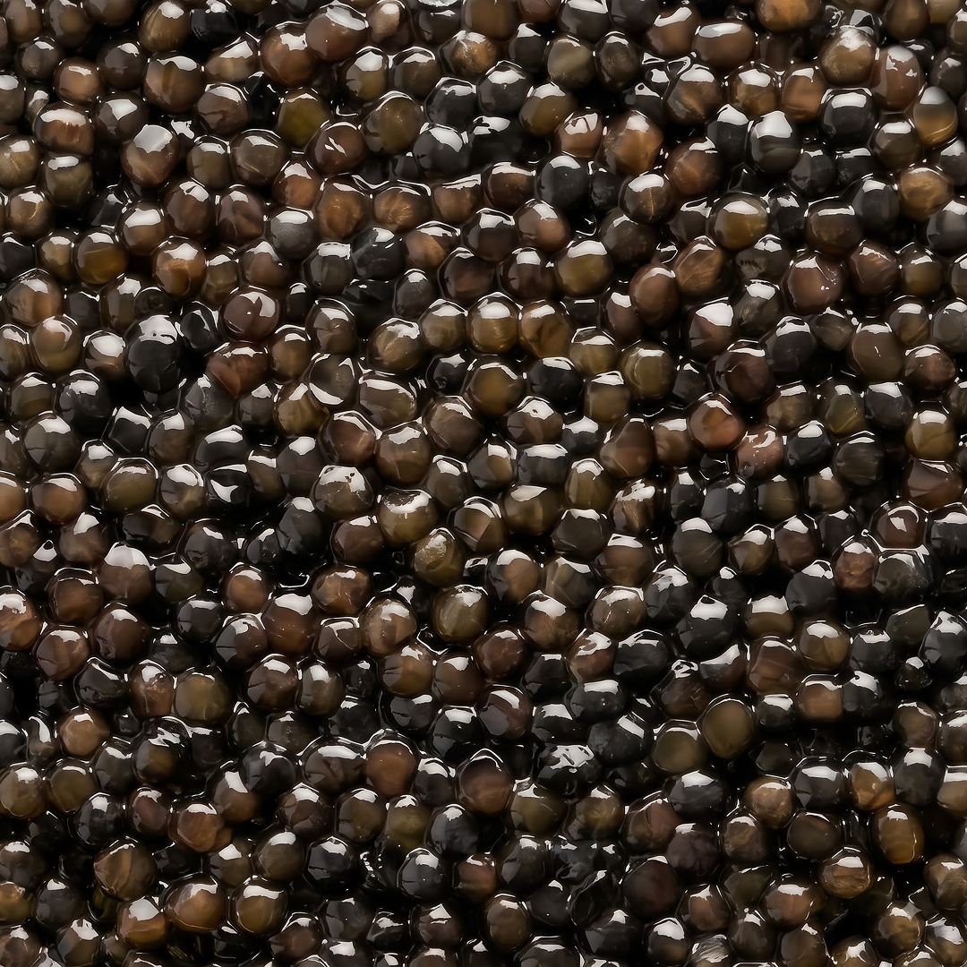 Beluga Caviar